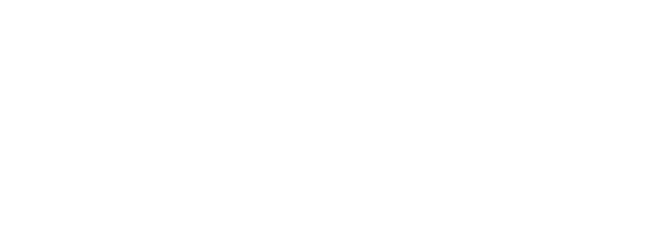 Rauquén, agencia de turismo